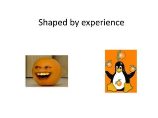 Shaped by experience 
 