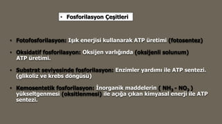 • Fosforilasyon Çeşitleri
• Fotofosforilasyon: Işık enerjisi kullanarak ATP üretimi (fotosentez)
• Oksidatif fosforilasyon: Oksijen varlığında (oksijenli solunum)
ATP üretimi.
• Substrat seviyesinde fosforilasyon: Enzimler yardımı ile ATP sentezi.
(glikoliz ve krebs döngüsü)
• Kemosentetik fosforilasyon: İnorganik maddelerin ( NH3 - NO2 )
yükseltgenmesi (oksitlenmesi) ile açığa çıkan kimyasal enerji ile ATP
sentezi.
 