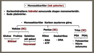 • Monosakkaritler Karbon sayılarına göre;
Heksoz (6C) Pentoz (5C) Trioz (3C)
RibozGlukoz Fruktoz Galaktoz
Bitkisel
Hayvansal
Deoksiriboz
- RNA
- ATP
- DNA
PGA PGAL
- Fotosentez
- Hücre
solunumu
süt şekeri
• Karbonhidratların hidrolizi sonucunda oluşan monomerleridir.
• Suda çözünürler.
• Monosakkaritler (tek şekerler)
 