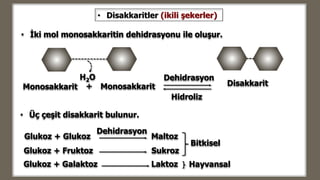 • İki mol monosakkaritin dehidrasyonu ile oluşur.
Glukoz + Glukoz Maltoz
Bitkisel
Hayvansal
• Disakkaritler (ikili şekerler)
Dehidrasyon
H2O
• Üç çeşit disakkarit bulunur.
Dehidrasyon
Hidroliz
Monosakkarit Disakkarit+ Monosakkarit
Glukoz + Galaktoz Laktoz
Glukoz + Fruktoz Sukroz
 