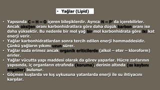 • Yağlar (Lipid)
• Yapısında C – H – O içeren bileşiklerdir. Ayrıca N – P’ da içerebilirler.
Ancak oksijen oranı karbonhidratlara göre daha düşük karbon oranı ise
daha yüksektir. Bu nedenle bir mol yağ bir mol karbonhidrata göre iki kat
enerji verir.
• Yağlar karbonhidratlardan sonra tercih edilen enerji hammaddesidir.
Çünkü yağların yıkımı uzun sürer.
• Yağlar suda erimez ancak organik eriticilerde (alkol – eter – kloroform)
erirler.
• Yağlar vücutta yapı maddesi olarak da görev yaparlar. Hücre zarlarının
yapısında, iç organların etrafında (koruma), derinin altında (ısı kaybını
engeller) bulunur.
• Göçmen kuşlarda ve kış uykusuna yatanlarda enerji ile su ihtiyacını
karşılar.
 