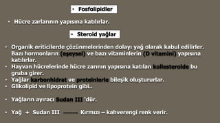 • Hücre zarlarının yapısına katılırlar.
• Fosfolipidler
• Steroid yağlar
• Organik eriticilerde çözünmelerinden dolayı yağ olarak kabul edilirler.
Bazı hormonların (eşeysel) ve bazı vitaminlerin (D vitamini) yapısına
katılırlar.
• Hayvan hücrelerinde hücre zarının yapısına katılan kollesterolde bu
gruba girer.
• Yağlar karbonhidrat ve proteinlerle bileşik oluştururlar.
• Glikolipid ve lipoprotein gibi..
• Yağların ayıracı Sudan III ‘dür.
• Yağ + Sudan III Kırmızı – kahverengi renk verir.
 