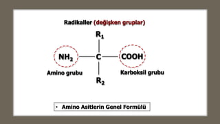 CNH2
• Amino Asitlerin Genel Formülü
Karboksil grubuAmino grubu
COOH
Radikaller (değişken gruplar)
R2
R1
 