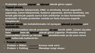 • Proteinler vücutta yapısal ve işlevsel olarak görev yapar.
• Yapısal olarak;
• Hücre zarlarının bileşiminde, DNA’ ın etrafında, birçok organelin
yapısında, kanın bileşiminde, kasların yapısında, derinin etrafında, saç
tırnak gibi birçok yapıda ayrıca tüm antikorlar ve bazı hormonlarda
proteindir. O halde proteinler canlıda en fazla bulunan organik
bileşiklerdir.
• İşlevsel olarak ise metabolizmada rol oynayan işlevsel proteinler yani
enzimlerdir.
• Enerji hammaddesi olarak proteinler en son tercih edilir. Çünkü vücutta
hem yapısal hem de işlevsel olarak görev yaparlar. Proteinler enerji
hammaddesi olarak ya vücuda fazla alındıklarında ya da uzun süren
açlık hallerinde kullanılırlar.
• Protein + Millon Kırmızı renk verir.
• Protein + Fehling Menekşe rengi oluşur.
• Protein ayraçları
 