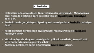 • Metabolizmada gerçekleşen tüm reaksiyonlar kimyasaldır. Metabolizma
canlı hücrede geçtiğine göre bu reaksiyonlar Biyokimyasal Reaksiyon
adını alır.
• Enzimler
• Anabolizmada gerçekleşen biyokimyasal reaksiyonlara Anabolik reaksiyon
denir.
• Katabolizmada gerçekleşen biyokimyasal reaksiyonlara ise Katabolik
reaksiyon denir.
• Vücudun dışında kimyasal reaksiyonlar yüksek sıcaklıkta, kuvvetli asit
veya bazik ortamlarda gerçekleşebilir.
• Ancak bu özelliklere sahip ortamlardan hücre zarar görür.
 