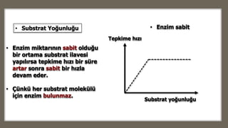 Substrat yoğunluğu
Tepkime hızı
• Enzim sabit• Substrat Yoğunluğu
• Enzim miktarının sabit olduğu
bir ortama substrat ilavesi
yapılırsa tepkime hızı bir süre
artar sonra sabit bir hızla
devam eder.
• Çünkü her substrat molekülü
için enzim bulunmaz.
 