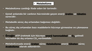 • Metabolizma canlılığı ifade eden bir terimdir.
• Genel anlamda bir canlının hücresinde geçen enerji üretim ve tüketim
sürecidir.
• Metabolik süreç dış ortamdan bağımsız değildir.
• Bu süreç dış ortamdan bazı maddelerin hücreye girmesine ve çıkmasına
bağlıdır.
• Örneğin ATP üretmek için hücreye enerji hammaddesi ve O2 gelmeli
hücreden de dış ortama CO2 verilmelidir.
• Metabolizmada enerji üreten süreç Katabolizma enerji tüketen süreç
Anabolizma olarak adlandırılır.
• Metabolizma
 