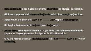 • Katabolizmada önce hücre solunumu (hidroliz) ile glukoz parçalanır.
• Glukozun yapısındaki kimyasal bağlarda saklı olan enerji açığa çıkar.
• Açığa çıkan bu enerjiyle ADP + Pİ ATP yapılır (dehidrasyon).
• Bir başka değişle enerji bağdan çıkar bağa girer.
• Anabolizma ise katabolizmada ATP şeklinde üretilen enerjinin madde
yapımı ve birçok yaşamsal faaliyetlerde tüketilmesidir.
• O halde madde yapmak (dehidrasyon) için ATP ADP + Pİ yıkılır
(hidroliz).
 