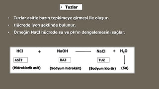 • Tuzlar
• Tuzlar asitle bazın tepkimeye girmesi ile oluşur.
• Hücrede iyon şeklinde bulunur.
• Örneğin NaCl hücrede su ve pH’ın dengelemesini sağlar.
 