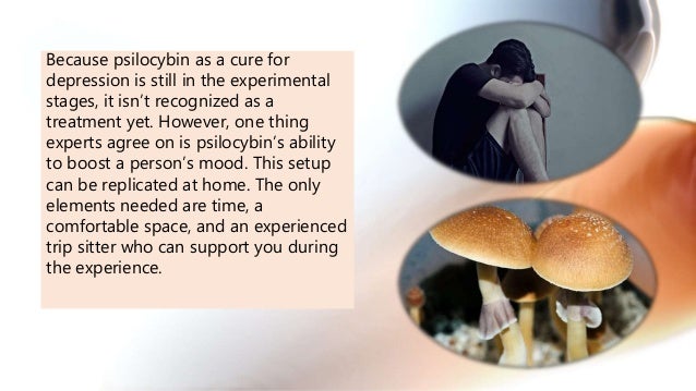 Can Magic Mushrooms Treat Depression