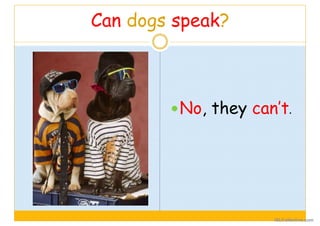 Can dogs speak?
No, they can’t.
iSLCollective.com
 