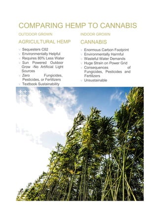 www.JohnsCBD.com Page 13
COMPARING HEMP TO CANNABIS
OUTDOOR GROWN
AGRICULTURAL HEMP
ν Sequesters C02
ν Environmentally Hel...
