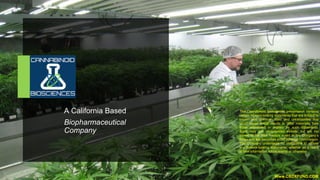 A California Based
Biopharmaceutical
Company
Www.CBDXFUND.COM
This Cannabinoid Biosciences presentation contains
certain forward-looking statements that are subject to
known and unknown risks and uncertainties that
could cause actual results to differ materially from
those expressed or implied by such statements.
Such risks and uncertainties include, but are not
limited to the Risk Factors noted in the Company’s
filings with the Securities and Exchange Commission.
The Company undertakes no obligations to update
any forward-looking statements, whether as a result
of new information, future events or otherwise.
 