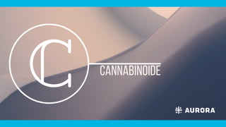 cannabinoide
C
 