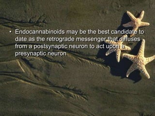 • Endocannabinoids may be the best candidate to
  date as the retrograde messenger that diffuses
  from a postsynaptic neu...