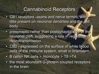 Cannabinoid Receptors
• CB1 receptors -axons and nerve termini, with
  little present on neuronal dendrites and the cell
 ...