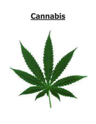 Cannabis
 