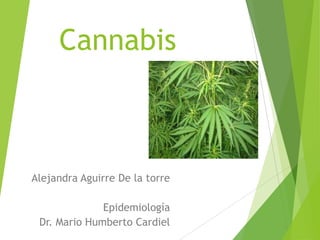 Cannabis



Alejandra Aguirre De la torre

              Epidemiología
 Dr. Mario Humberto Cardiel
 