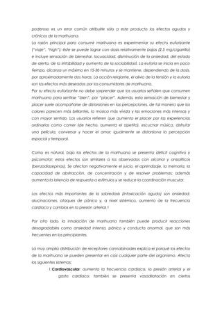 poderoso es un error común atribuirle sólo a este producto los efectos agudos y
crónicos de la marihuana.
La razón principal para consumir marihuana es experimentar su efecto euforizante
(“viaje”, “high”); éste se puede lograr con dosis relativamente bajas (2.5 mg/cigarrillo)
e incluye sensación de bienestar, locuacidad, disminución de la ansiedad, del estado
de alerta, de la irritabilidad y aumento de la sociabilidad. La euforia se inicia en poco
tiempo, alcanza un máximo en 15-30 minutos y se mantiene, dependiendo de la dosis,
por aproximadamente dos horas. La acción relajante, el alivio de la tensión y la euforia
son los efectos más deseados por los consumidores de marihuana.
Por su efecto euforizante no debe sorprender que los usuarios señalen que consumen
marihuana para sentirse “bien”, por “placer”. Además, esta sensación de bienestar y
placer suele acompañarse de distorsiones en las percepciones, de tal manera que los
colores parecen más brillantes, la música más vívida y las emociones más intensas y
con mayor sentido. Los usuarios refieren que aumenta el placer por las experiencias
ordinarias como comer (de hecho, aumenta el apetito), escuchar música, disfrutar
una película, conversar y hacer el amor; igualmente se distorsiona la percepción
espacial y temporal.


Como es natural, bajo los efectos de la marihuana se presenta déficit cognitivo y
psicomotor; estos efectos son similares a los observados con alcohol y ansiolíticos
(benzodiazepinas). Se afectan negativamente el juicio, el aprendizaje, la memoria, la
capacidad de abstracción, de concentración y de resolver problemas; además
aumenta la latencia de respuesta a estímulos y se reduce la coordinación muscular.


Los efectos más importantes de la sobredosis (intoxicación aguda) son ansiedad,
alucinaciones, ataques de pánico y, a nivel sistémico, aumento de la frecuencia
cardiaca y cambios en la presión arterial.1


Por otro lado, la inhalación de marihuana también puede producir reacciones
desagradables como ansiedad intensa, pánico y conducta anormal, que son más
frecuentes en los principiantes.


La muy amplia distribución de receptores cannabinoides explica el porqué los efectos
de la marihuana se pueden presentar en casi cualquier parte del organismo. Afecta
los siguientes sistemas:
          1.Cardiovascular: aumenta la frecuencia cardiaca, la presión arterial y el
               gasto cardiaco; también se presenta vasodilatación en ciertos
 