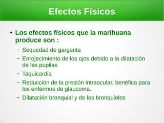 Efectos Físicos

●   Los efectos físicos que la marihuana
    produce son :
    –   Sequedad de garganta
    –   Enrojecimiento de los ojos debido a la dilatación
        de las pupilas
    –   Taquicardia
    –   Reducción de la presión intraocular, benéfica para
        los enfermos de glaucoma.
    –   Dilatación bronquial y de los bronquiolos
 