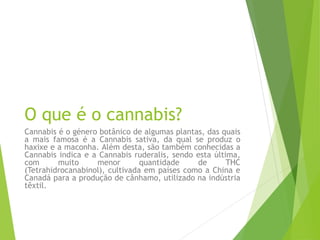O que é o cannabis?
Cannabis é o género botânico de algumas plantas, das quais
a mais famosa é a Cannabis sativa, da qual se produz o
haxixe e a maconha. Além desta, são também conhecidas a
Cannabis indica e a Cannabis ruderalis, sendo esta última,
com muito menor quantidade de THC
(Tetrahidrocanabinol), cultivada em países como a China e
Canadá para a produção de cânhamo, utilizado na indústria
têxtil.
 