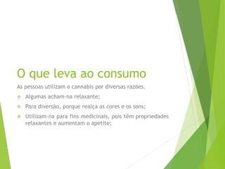 O que leva ao consumo
As pessoas utilizam o cannabis por diversas razões.
 Algumas acham-na relaxante;
 Para diversão, porque realça as cores e os sons;
 Utilizam-na para fins medicinais, pois têm propriedades
relaxantes e aumentam o apetite;
 