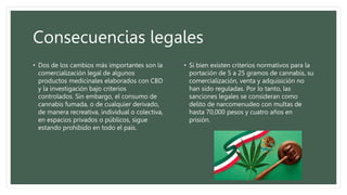 • Dos de los cambios más importantes son la
comercialización legal de algunos
productos medicinales elaborados con CBD
y la investigación bajo criterios
controlados. Sin embargo, el consumo de
cannabis fumada, o de cualquier derivado,
de manera recreativa, individual o colectiva,
en espacios privados o públicos, sigue
estando prohibido en todo el país.
• Si bien existen criterios normativos para la
portación de 5 a 25 gramos de cannabis, su
comercialización, venta y adquisición no
han sido reguladas. Por lo tanto, las
sanciones legales se consideran como
delito de narcomenudeo con multas de
hasta 70,000 pesos y cuatro años en
prisión.
Consecuencias legales
 