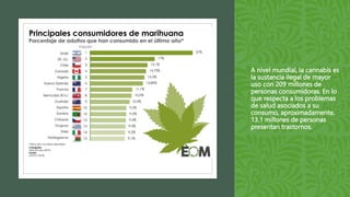 A nivel mundial, la cannabis es
la sustancia ilegal de mayor
uso con 209 millones de
personas consumidoras. En lo
que respecta a los problemas
de salud asociados a su
consumo, aproximadamente,
13.1 millones de personas
presentan trastornos.
 