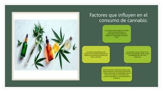 Factores que influyen en el
consumo de cannabis:
Los espacios para adquirir cannabis
son los mismos donde se
comercializan otras sustancias
ilegales, lo que facilita el acceso a
éstas
Las personas que se inician en el
consumo de cannabis tienen mayor
probabilidad de usar otras
sustancias.
Existen factores psicoemocionales como
baja autoestima, autocontrol insuficiente
y escaso desarrollo de habilidades para la
vida que inciden en la transición del
consumo esporádico a una dependencia
o adicción.
Los efectos psicológicos del
consumo de cannabis aumentan el
interés de las personas jóvenes por
otras sustancias.
 
