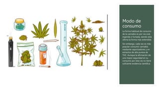 Modo de
consumo
La forma habitual de consumo
de la cannabis es por vía oral,
ingerida o fumada, siendo esta
última la forma más extendida.
Sin embargo, cada vez es más
popular consumir cannabis
mediante vaporizadores y en
extractos de alta pureza de
THC. Aunque la afirmación de
una mayor seguridad en su
consumo por esta vía no tiene
suficiente evidencia científica.
 