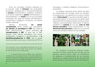 10 11
Entre los principales terpenos presentes en
el cannabis, están el limoneno (con propiedades
ansiolíticas, antidepresivas e inmunoestimuladoras),
el mirceno (antiinflamatorio, analgésico, antibiótico
y de efectos sedantes) el pineno (antiinflamatorio y
broncodilatador) o el linalol (uno de los principales
compuestos del aceite de lavanda, antiinflamatorio,
anticonvulsivo, analgésico y ansiolítico, con efectos
también sedantes).5
Además, obviamente, los demás
cannabinoides tienen también sus propiedades:
por ejemplo, el cannabigerol o CBG tiene especial
poder antiinflamatorio y acción antibiótica; el
cannabicromeno o CBC, al igual que el CBD,
tampoco tiene efectos psicodélicos sino acción
antidepresiva, analgésica y antiinflamatoria; o la
tetrahidrocannabivarina o THCV, que sí posee
efectos psicodélicos pero que, a diferencia del THC, es
Como decimos, se ha comprobado que plantas con el mis-
mo porcentaje de THC pueden tener efectos muy dispares
en función de sus otros componentes.
5 El pineno actúa como inhibidor de la acetilcoli-
nesterasa, por lo que puede actuar como potenciador de la
memoria, y algunas investigaciones sugieren que podría así
contrarrestar en cierta medida el déficit de memoria a corto
plazo que induce la intoxicación con THC.
anorexígena, y también analgésica, anticonvulsiva y
antioxidante.
La compleja conjunción de los efectos de todos
los componentes del cannabis (entre las sinergias,
la compensación y el equilibrio) es lo que se conoce
como “efecto séquito”, lo cual hace más difícil saber lo
que puede producir el consumo de una determinada
cepa (y este efecto también es determinante, por tanto,
respecto a sus propiedades medicinales). Si además
atendemos al contexto de uso que, como en todo
fármaco psicodélico, influye especialmente, y a las
diferencias entre personas (en general, a lo conocido
como set y setting) la cuestión es muy compleja.
Por simplificar (muchísimo) podemos señalar
que entre los efectos generales del cannabis que las
personas usuarias buscan están: los sentimientos
de relajación, el enlentecimiento de las funciones
operativas (no necesariamente de los pensamientos
de otro orden),la risa,el aumento de la creatividad,etc.
 