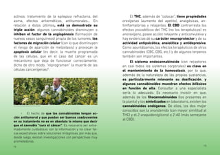 14 15
activos: tratamiento de la epilepsia refractaria, del
asma, efectos antieméticos, antitumorales... En
relación a éstos últimos, está ya demostrada su
triple acción: algunos cannabinoides disminuyen o
inhiben el factor de la angiogénesis (formación de
nuevos vasos sanguíneos) propia de los tumores, los
factores de migración celular (con lo que disminuyen
el riesgo de aparición de metástasis) y provocan la
apoptosis celular (es decir, la muerte programada
de las células, que en el caso del cáncer es un
mecanismo que deja de funcionar correctamente;
dicho de otro modo, “reprograman” la muerte de las
células cancerígenas)7
.
7 El hecho de que los cannabinoides tengan ac-
ción antitumoral y que puedan ser buenos coadyuvantes
en su tratamiento no es en absoluto lo mismo que decir
que el cannabis “cura el cáncer”. Es necesario ser extre-
madamente cuidadosas con la información y no crear fal-
sas expectativas sobre soluciones milagrosas, por más que,
desde luego, existan investigaciones con perspectivas muy
prometedoras.
El THC, además de “colocar”, tiene propiedades
orexígenas (aumento del apetito), analgésicas, an-
tiinflamatorias y relajantes. El CBD contrarresta los
efectos psicodélicos del THC (no los terapéuticos) es
anorexígeno, posee acción relajante y anticonvulsiva y
hay evidencias de su carácter neuroprotector y de su
actividad antipsicótica, ansiolítica y antidepresiva.
Como apuntábamos, los efectos terapéuticos de otros
cannabinoides (CBC, CBG, etc.) y de algunos terpenos
también son importantes.
El sistema endocannabinoide (con receptores
en casi todos los sistemas corporales) es clave en
el mantenimiento de la homeostasis, por lo que,
además de la naturaleza de las propias sustancias,
es particularmente relevante su dosificación, y
algunos cannabinoides muestran efectos bifásicos
en función de ella. Consultar a una especialista
sería lo adecuado. Es necesario insistir en que,
además de los fitocannabinoides (los presentes en
la planta) y los sintetizados en laboratorio, existen los
cannabinoides endógenos. De ellos, los dos mejor
conocidos son la anandamida (con mayor similitud al
THC) y el 2-araquidonilglicerol o 2-AG (más semejante
al CBD).
 