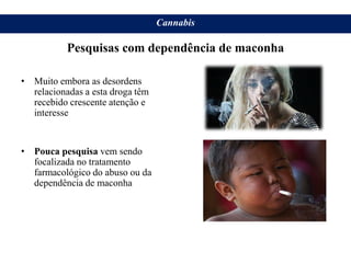 • Muito embora as desordens
relacionadas a esta droga têm
recebido crescente atenção e
interesse
• Pouca pesquisa vem sendo
focalizada no tratamento
farmacológico do abuso ou da
dependência de maconha
Cannabis
Pesquisas com dependência de maconha
 