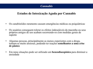 • Os canabinóides raramente causam emergências médicas ou psiquiátricas
• Os usuários conseguem tolerar os efeitos indesejáveis da maconha ou seus
próprios amigos de uso acabam socorrendo-os com medidas gerais de
suporte
• Algumas pessoas, principalmente as menos experientes com a droga,
tornam-se muito ansiosas, podendo ter reações semelhantes a uma crise
de pânico
• Em raras situações pode ser utilizado um benzodiazepínico para diminuir a
ansiedade
Cannabis
Estados de Intoxicação Aguda por Cannabis
 