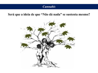 Cannabis
Será que a ideia de que “Não dá nada” se sustenta mesmo?
 