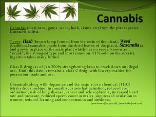 Cannabis  (marijuana, ganja, weed, hash, skunk etc) from the plant species  Cannabis sativa .  Types ;  Hash  (brown lump formed from the resin of the plant),  Weed  (traditional cannabis, made from the dried leaves of the plant),  Sinsemella   (a bud grown in place of the male plant which has no seeds, known as “skunk”, the strongest type and most common. 81% sold on the streets).  Ingestion takes many forms! Class B drug (as of Jan 2009) strengthening laws to crack down on illegal use.  Until this date it remains a class C drug, with lower penalties for possession, trade and use.  Chemicals along with dopamine and the main active chemical (THC) tetrahydrocannabinol in cannabis, causes hallucination, reduced co-ordination, risk of lung disease, cancer and schizophrenia, increased heart rate and pressure, reduced sperm count in males, suppressed ovulation in women, reduced learning and concentration and tiredness.  ( www.homeoffice.gov.uk ) , ( www.talktofrank.com )  