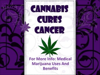 For More Info: Medical
 Marijuana Uses And
      Benefits
 