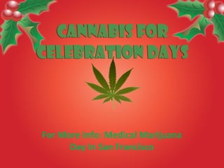 For More Info: Medical Marijuana
Day In San Francisco
 