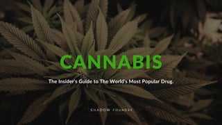 The Insider's Guide to The World's Most Popular Drug.
CANNABIS
 