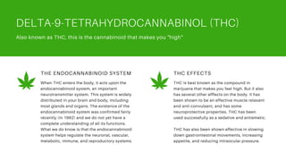 DELTA-9-TETRAHYDROCANNABINOL (THC)
Also known as THC, this is the cannabinoid that makes you "high"
THE ENDOCANNABINOID SY...