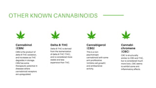 OTHER KNOWN CANNABINOIDS
CBN is the product of
delta-9-THC oxidation,
and increases as THC
degrades in storage.
CBN has so...