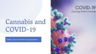 Cannabis and
COVID-19
Safety Tips to Follow In Quarantine
 