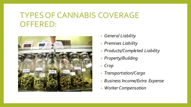 Cannabis Insurance
