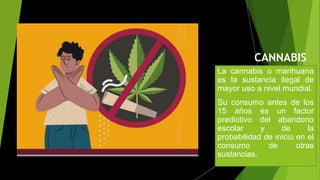 CANNABIS
(MARIGUANA)
¡SI TE DAÑA!
La cannabis o marihuana
es la sustancia ilegal de
mayor uso a nivel mundial.
Su consumo antes de los
15 años es un factor
predictivo del abandono
escolar y de la
probabilidad de inicio en el
consumo de otras
sustancias.
 