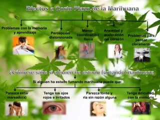 Problemas con la memoria 
y aprendizaje Percepción 
distorsionada 
Problemas para 
pensar 
claramente 
Menor 
coordinación 
física 
Ansiedad y 
aceleración 
del corazón 
Parezca estar 
mareado(a) 
Parezca tonto y 
ría sin razón alguna 
Tenga los ojos 
rojos e irritados 
Tenga dificultad 
con la memoria 
Si alguien ha estado fumando marihuana puede que: 
 