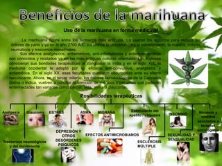 Uso de la marihuana en forma medicinal 
La marihuana figura entre los fármacos más antiguos. La usaron los egipcios para reducir los 
dolores de parto y ya en el año 2700 A.C. los chinos la utilizaron para el estreñimiento, la malaria, dolores 
reumáticos y trastornos menstruales. 
Sus efectos analgésicos, antieméticos, anti-inflamatorios y antiespasmódicos 
son conocidos y relatados ya en las más antiguas culturas orientales. Los ingleses 
conocieron sus bondades terapéuticas al conquistar la India y en el siglo XIX, la 
medicina occidental la adoptó por su eficacia anti-convulsiva, analgésica y 
antiemética. En el siglo XX, esas facultades quedaron oscurecidas ante su efecto 
narcotizante. Ahora, en el tercer milenio, los méritos farmacológicos de la Cannabis 
Sativa o Indica, vuelven a concitar la atención de médicos y personas que padecen 
enfermedades tan variadas como cáncer, sida, asma o glaucoma. 
Posibilidades terapéuticas 
Analgesia 
Trastornos neurológicos 
y del movimiento 
Náuseas y 
vómitos 
asociados a 
terapias 
oncológicas 
Glaucoma Estimulante del 
ESTRÉS INSOMNIO 
apetito / caquexia 
SEXUALIDAD Y 
SENSUALIDAD 
ESCLEROSIS 
MÚLTIPLE 
MIGRAÑA 
ASMA 
DEPRESIÓN Y 
OTROS 
DESÓRDENES 
PSÍQUICOS 
EFECTOS ANTIMICROBIANOS 
 