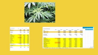 MORE INFORMATION AND PRODUCT
REVIEWS AT: Cannabis Marijuana Edibles
Business Plan
 