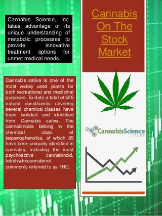 Cannabis
On The
Stock
Market
Cannabis sativa is one of the
most widely used plants for
both recreational and medicinal
purposes. To date a total of 525
natural constituents covering
several chemical classes have
been isolated and identified
from Cannabis sativa. The
cannabinoids belong to the
chemical class of
terpenophenolics, of which 85
have been uniquely identified in
cannabis, including the most
psychoactive cannabinoid,
tetrahydrocannabinol
commonly referred to as THC.
Cannabis Science, Inc.
takes advantage of its
unique understanding of
metabolic processes to
provide innovative
treatment options for
unmet medical needs.
 