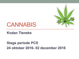 CANNABIS
Kodan Tieneke
Stage periode PCS
24 oktober 2016- 02 december 2016
 