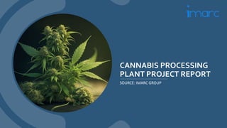 Cannabis Processing Plant Project Report.pptx